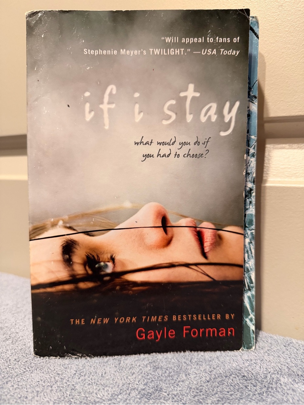 If I Stay by Gayle Forman — Gray & Black Paperback